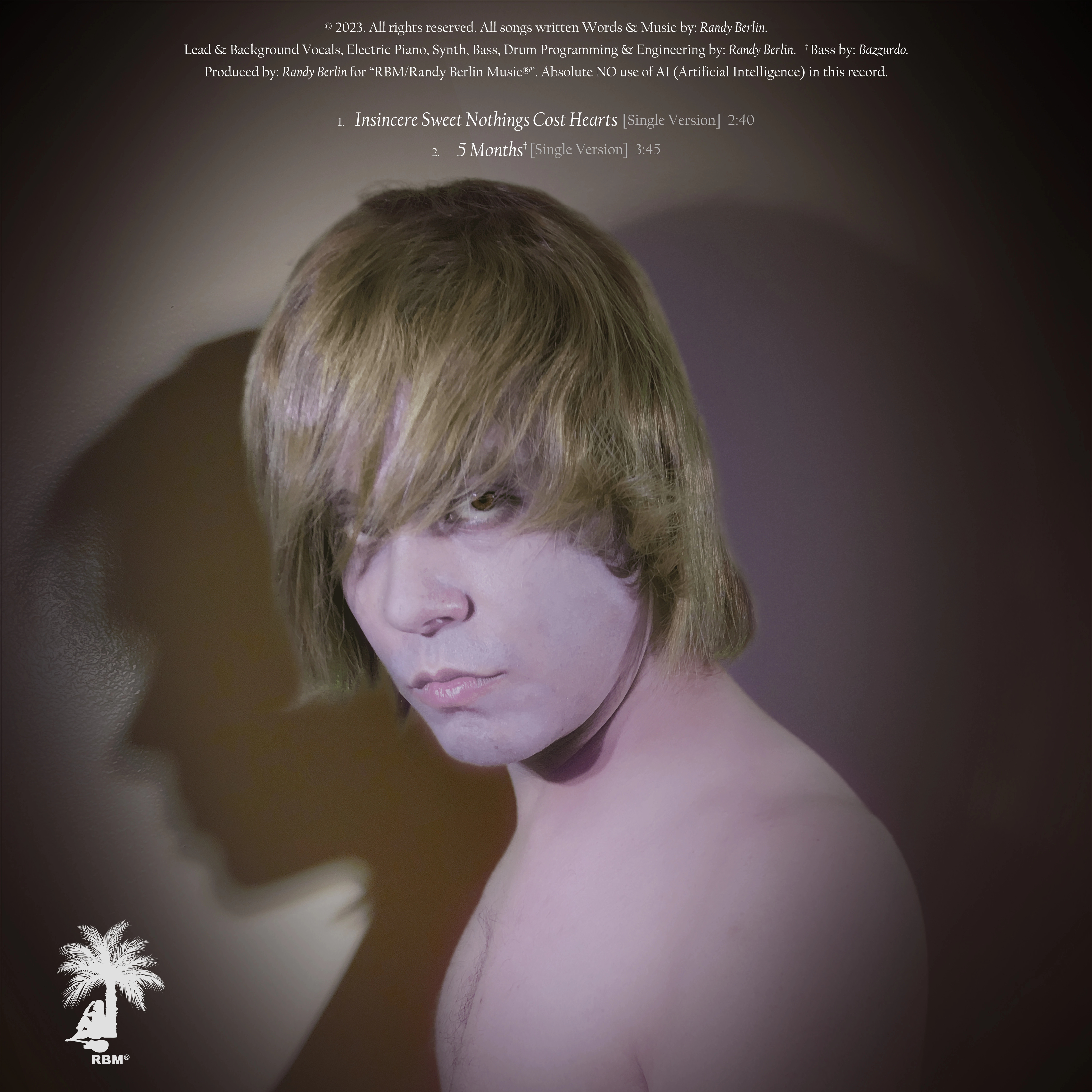 Insincere Sweet Nothings Cost Hearts back cover