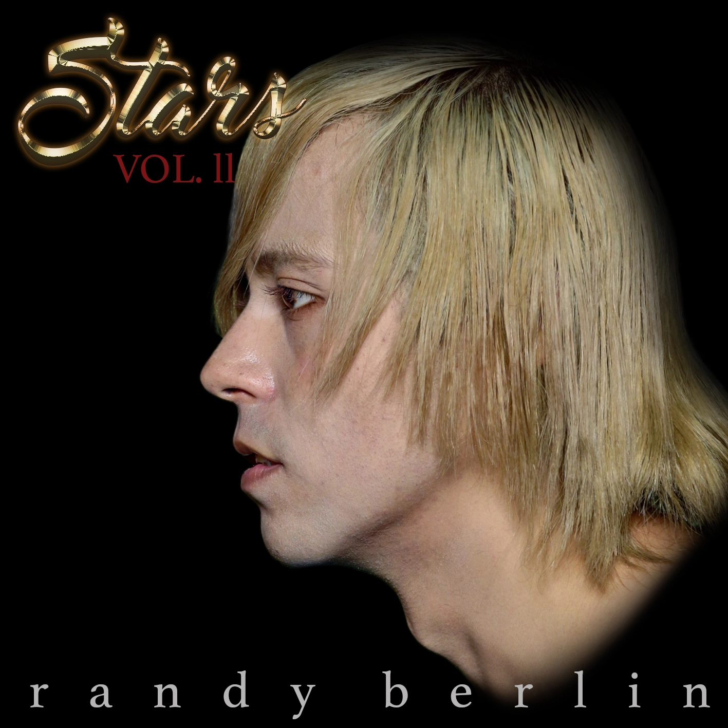 Stars, Vol. 2 front cover